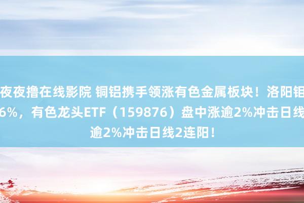 夜夜撸在线影院 铜铝携手领涨有色金属板块！洛阳钼业涨超6%，有色龙头ETF（159876）盘中涨逾2%冲击日线2连阳！