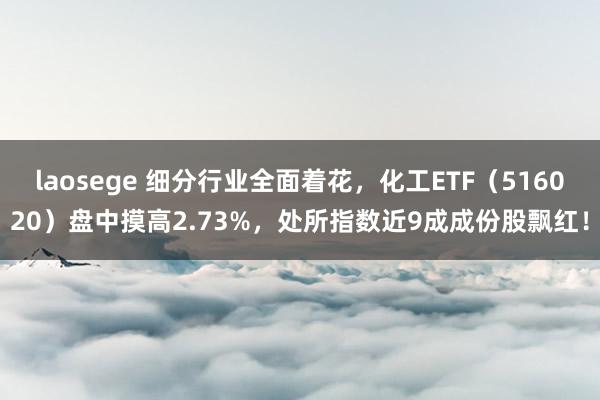 laosege 细分行业全面着花，化工ETF（516020）盘中摸高2.73%，处所指数近9成成份股飘红！