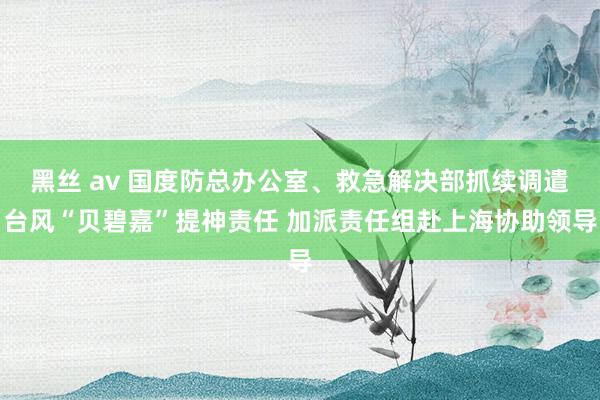 黑丝 av 国度防总办公室、救急解决部抓续调遣台风“贝碧嘉”提神责任 加派责任组赴上海协助领导