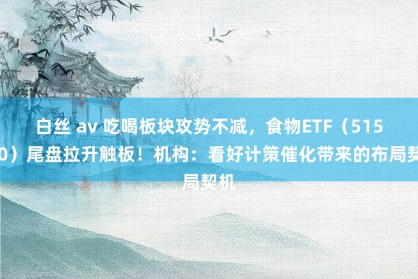 白丝 av 吃喝板块攻势不减，食物ETF（515710）尾盘拉升触板！机构：看好计策催化带来的布局契机
