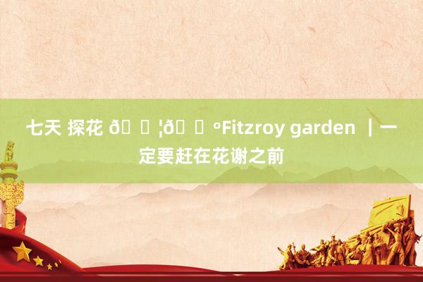 七天 探花 🇦🇺Fitzroy garden |一定要赶在花谢之前