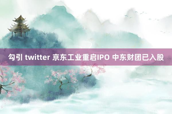 勾引 twitter 京东工业重启IPO 中东财团已入股