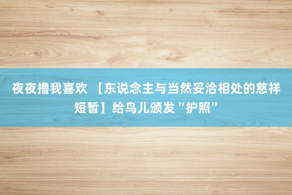 夜夜撸我喜欢 【东说念主与当然妥洽相处的慈祥短暂】给鸟儿颁发“护照”
