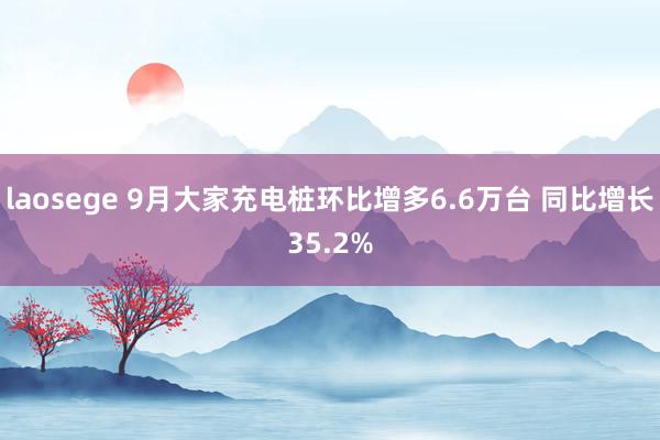 laosege 9月大家充电桩环比增多6.6万台 同比增长35.2%
