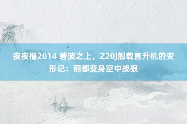 夜夜撸2014 碧波之上，Z20J舰载直升机的变形记：丽都变身空中战狼