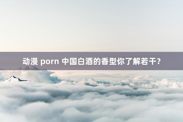动漫 porn 中国白酒的香型你了解若干?