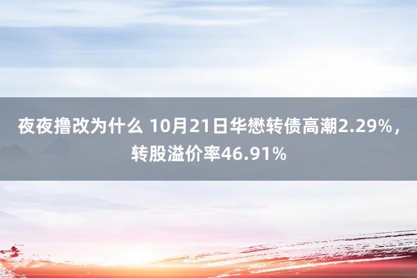 夜夜撸改为什么 10月21日华懋转债高潮2.29%，转股溢价率46.91%