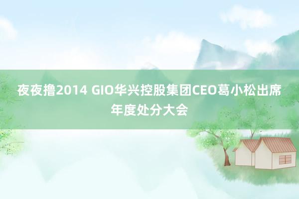 夜夜撸2014 GIO华兴控股集团CEO葛小松出席年度处分大会
