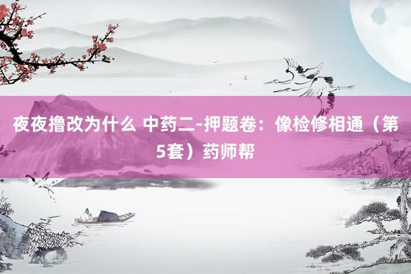 夜夜撸改为什么 中药二-押题卷：像检修相通（第5套）药师帮