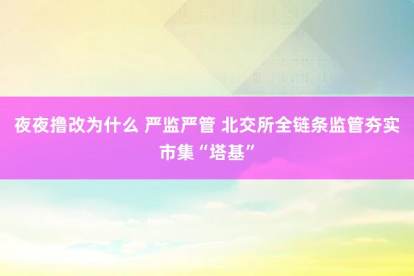 夜夜撸改为什么 严监严管 北交所全链条监管夯实市集“塔基”