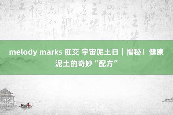 melody marks 肛交 宇宙泥土日｜揭秘！健康泥土的奇妙“配方”
