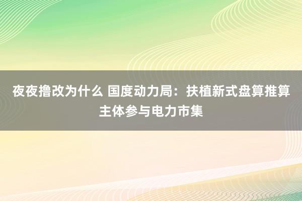夜夜撸改为什么 国度动力局：扶植新式盘算推算主体参与电力市集