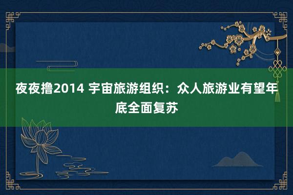 夜夜撸2014 宇宙旅游组织：众人旅游业有望年底全面复苏