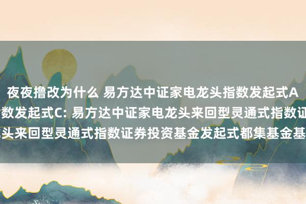 夜夜撸改为什么 易方达中证家电龙头指数发起式A,易方达中证家电龙头指数发起式C: 易方达中证家电龙头来回型灵通式指数证券投资基金发起式都集基金基金合同