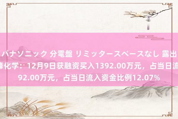 パナソニック 分電盤 リミッタースペースなし 露出・半埋込両用形 华峰化学：12月9日获融资买入1392.00万元，占当日流入资金比例12.07%