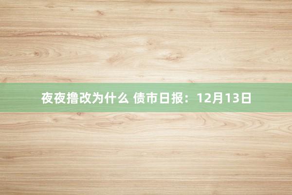 夜夜撸改为什么 债市日报：12月13日