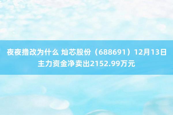 夜夜撸改为什么 灿芯股份（688691）12月13日主力资金净卖出2152.99万元