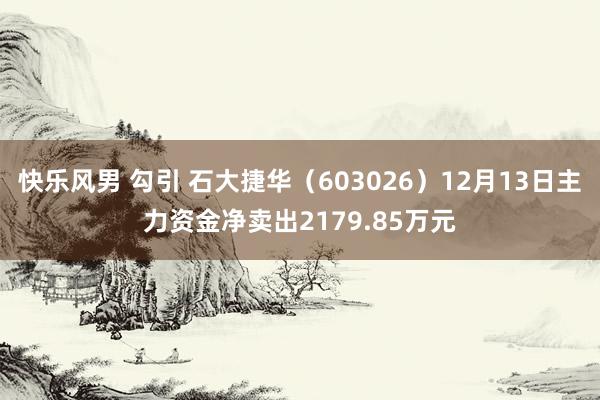快乐风男 勾引 石大捷华（603026）12月13日主力资金净卖出2179.85万元