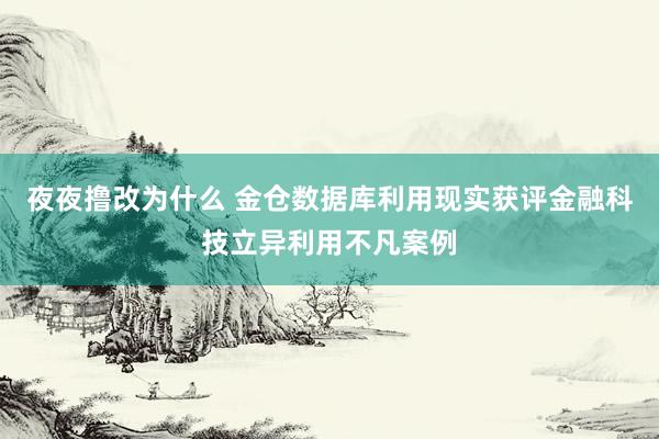 夜夜撸改为什么 金仓数据库利用现实获评金融科技立异利用不凡案例