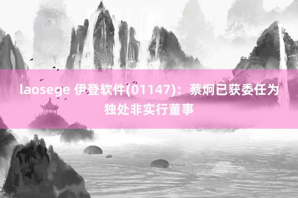 laosege 伊登软件(01147)：蔡炯已获委任为独处非实行董事