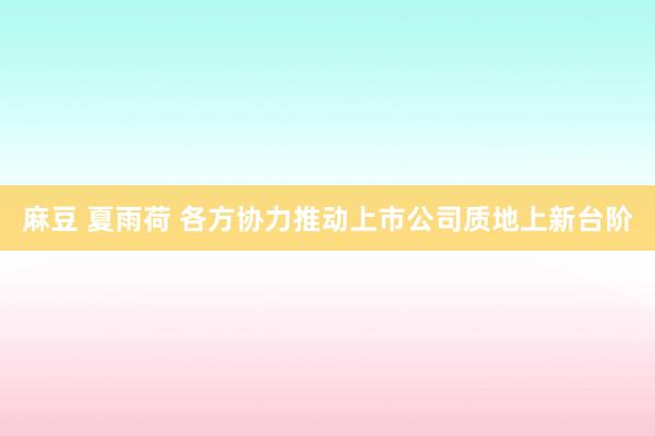 麻豆 夏雨荷 各方协力推动上市公司质地上新台阶