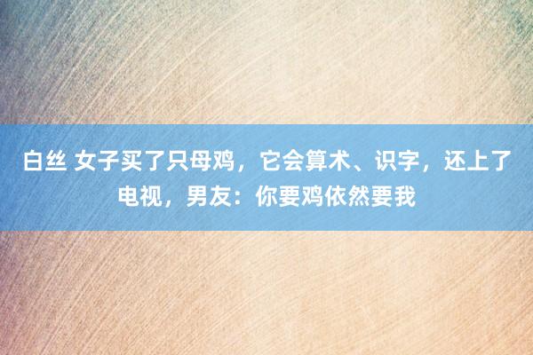 白丝 女子买了只母鸡，它会算术、识字，还上了电视，男友：你要鸡依然要我