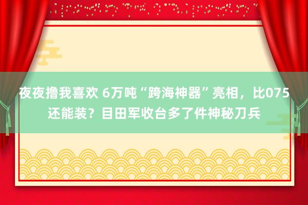 夜夜撸我喜欢 6万吨“跨海神器”亮相，比075还能装？目田军收台多了件神秘刀兵