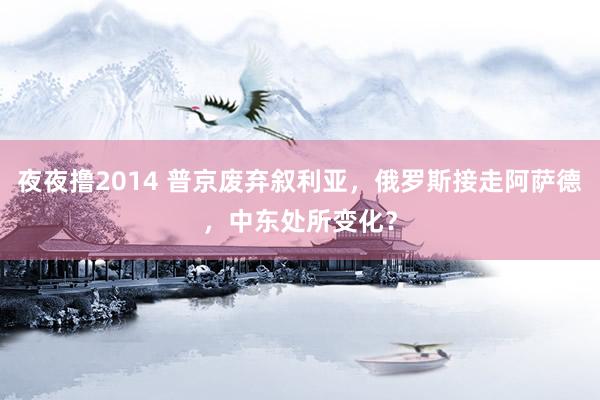 夜夜撸2014 普京废弃叙利亚，俄罗斯接走阿萨德，中东处所变化？