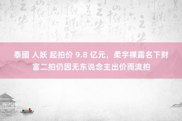 泰國 人妖 起拍价 9.8 亿元，柔宇裸露名下财富二拍仍因无东说念主出价而流拍