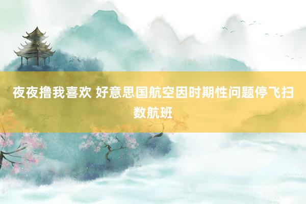 夜夜撸我喜欢 好意思国航空因时期性问题停飞扫数航班