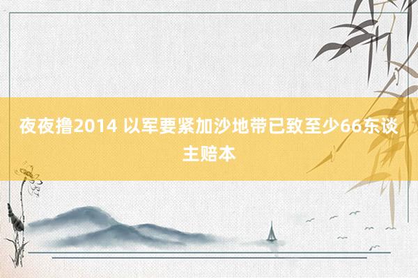 夜夜撸2014 以军要紧加沙地带已致至少66东谈主赔本