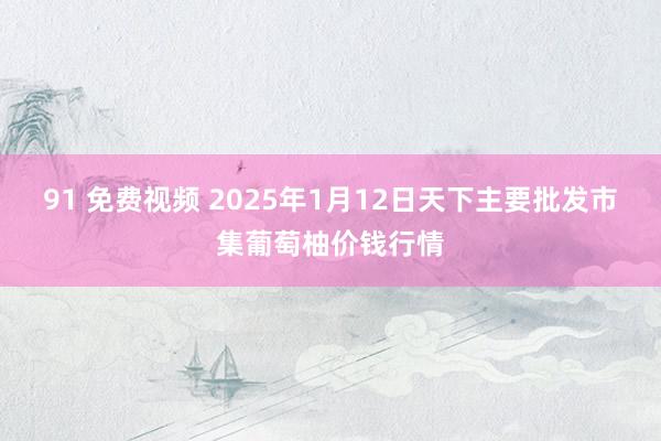 91 免费视频 2025年1月12日天下主要批发市集葡萄柚价钱行情
