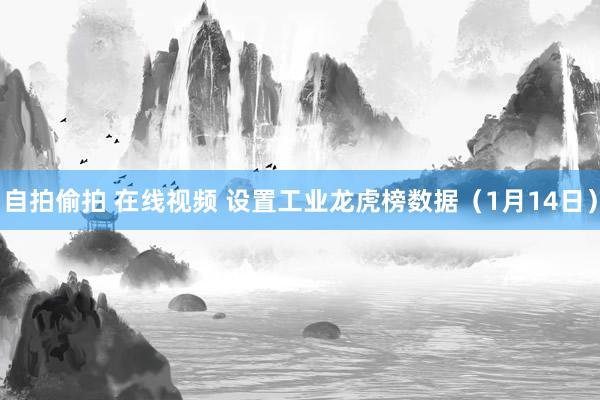 自拍偷拍 在线视频 设置工业龙虎榜数据（1月14日）