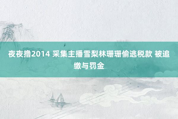 夜夜撸2014 采集主播雪梨林珊珊偷逃税款 被追缴与罚金