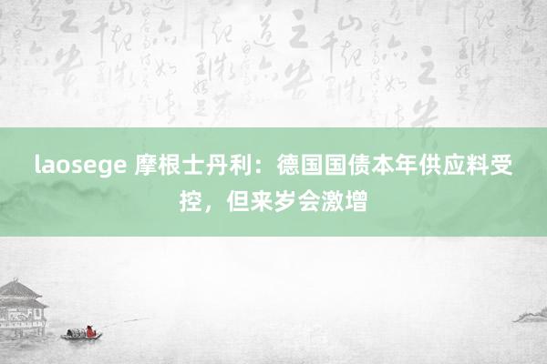 laosege 摩根士丹利：德国国债本年供应料受控，但来岁会激增