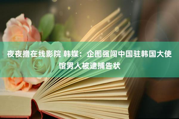 夜夜撸在线影院 韩媒：企图强闯中国驻韩国大使馆男人被逮捕告状