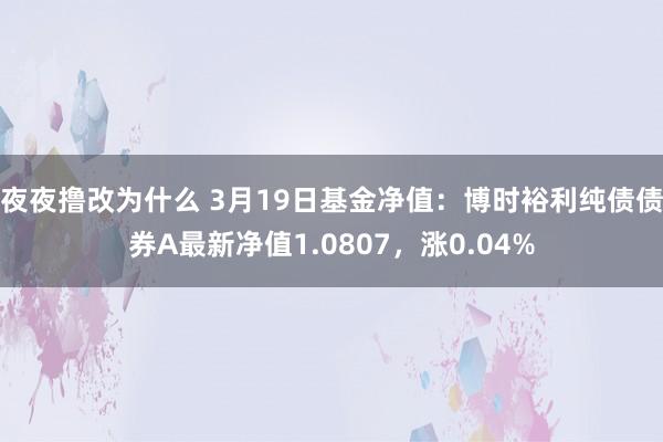 夜夜撸改为什么 3月19日基金净值：博时裕利纯债债券A最新净值1.0807，涨0.04%