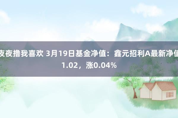 夜夜撸我喜欢 3月19日基金净值：鑫元招利A最新净值1.02，涨0.04%