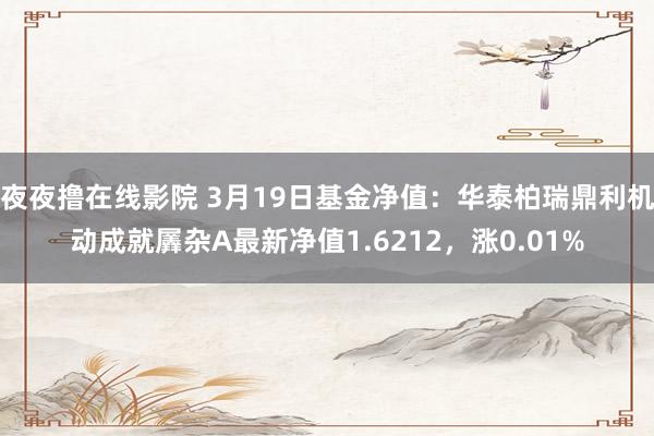 夜夜撸在线影院 3月19日基金净值：华泰柏瑞鼎利机动成就羼杂A最新净值1.6212，涨0.01%