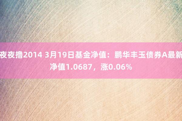 夜夜撸2014 3月19日基金净值：鹏华丰玉债券A最新净值1.0687，涨0.06%