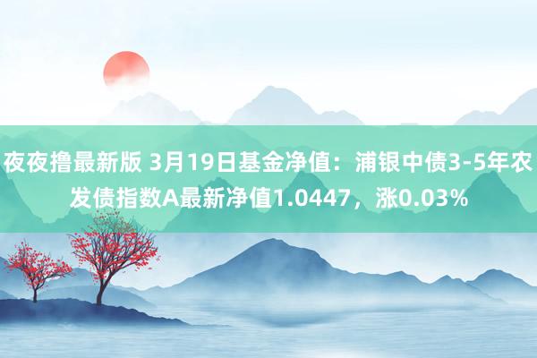 夜夜撸最新版 3月19日基金净值：浦银中债3-5年农发债指数A最新净值1.0447，涨0.03%