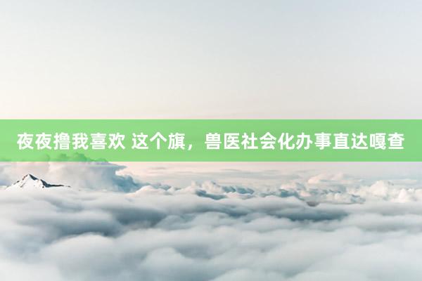 夜夜撸我喜欢 这个旗，兽医社会化办事直达嘎查