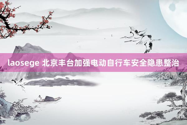 laosege 北京丰台加强电动自行车安全隐患整治