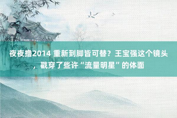 夜夜撸2014 重新到脚皆可替？王宝强这个镜头，戳穿了些许“流量明星”的体面