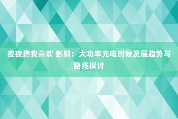 夜夜撸我喜欢 彭鹏：大功率充电时候发展趋势与路线探讨