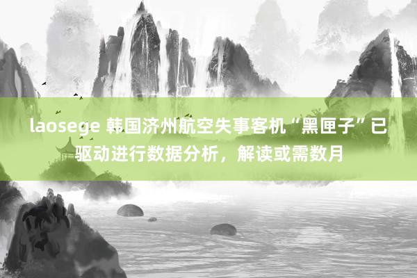 laosege 韩国济州航空失事客机“黑匣子”已驱动进行数据分析，解读或需数月