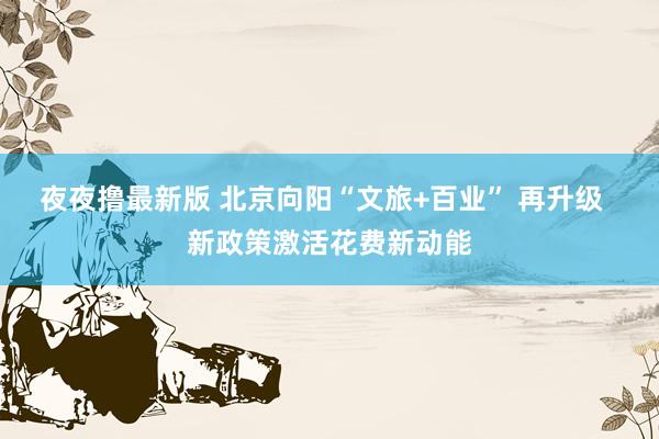 夜夜撸最新版 北京向阳“文旅+百业” 再升级  新政策激活花费新动能