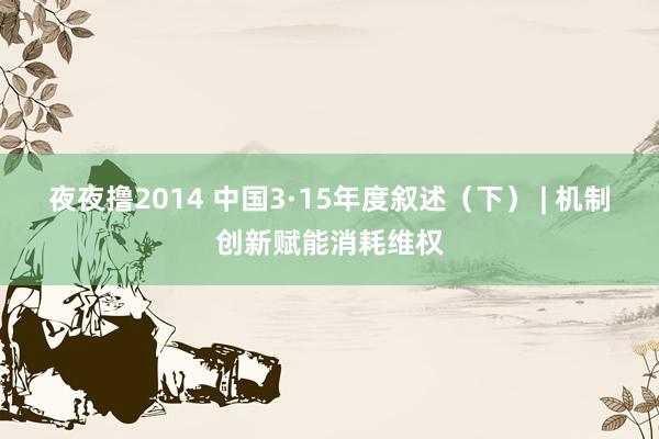 夜夜撸2014 中国3·15年度叙述（下） | 机制创新赋能消耗维权