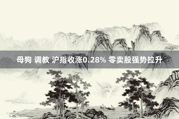 母狗 调教 沪指收涨0.28% 零卖股强势拉升