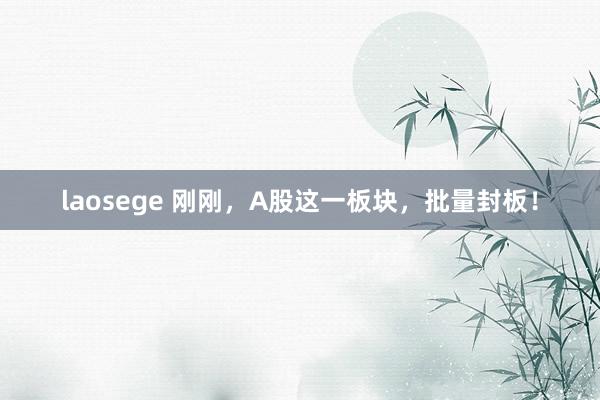 laosege 刚刚，A股这一板块，批量封板！